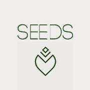 Coffee Seeds