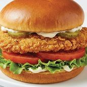 Chicken Fillet Burger Small/Single