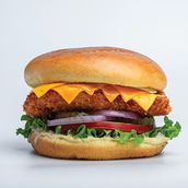 Crispy Chicken Burger