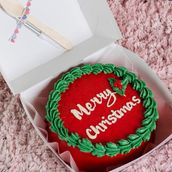 Christmas Cake 5 