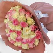 50 white and pink roses
