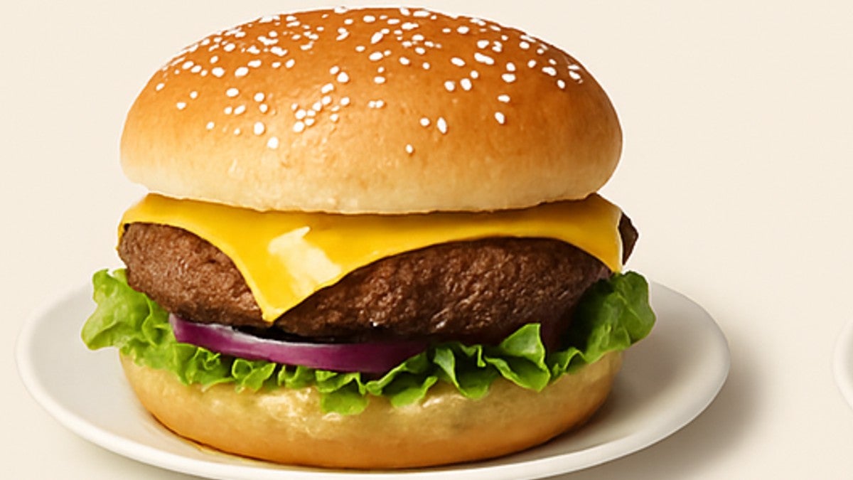 Hot and Spicy Chicken Burger