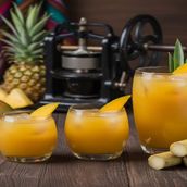 Mango With Sugarcane