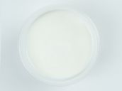 Yogurt