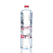 Water Bottle S