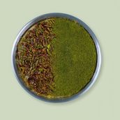 Kunafa With Pistachio