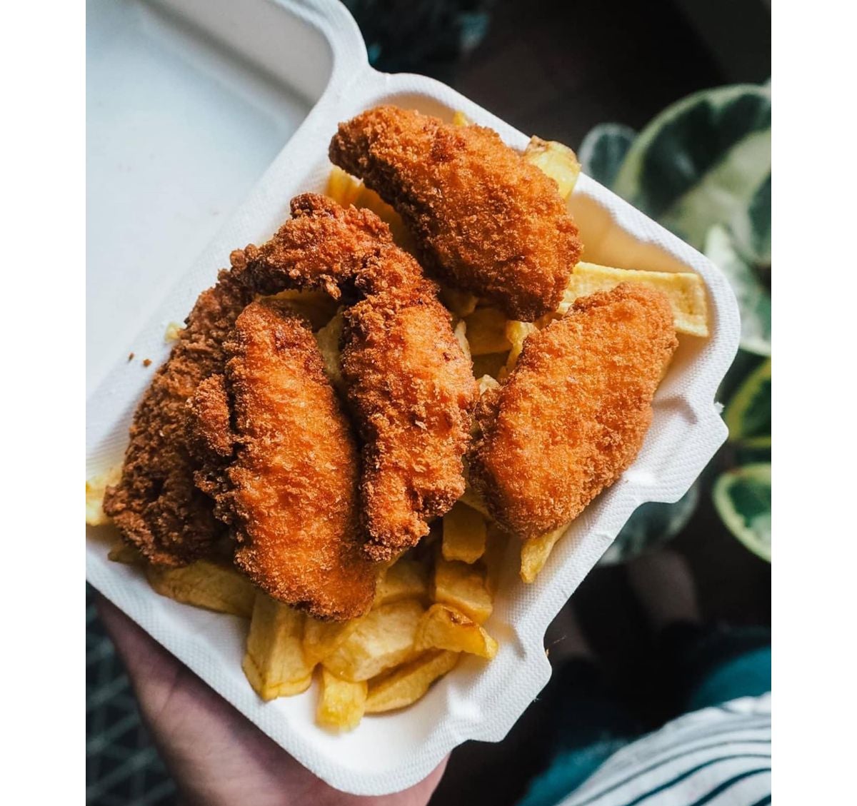 Chicken Goujons (5)