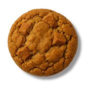 Biscoff Butter Cookie