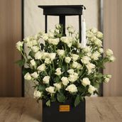 Wooden stand A2