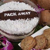 Large Coconut Ice Cream And Cookies