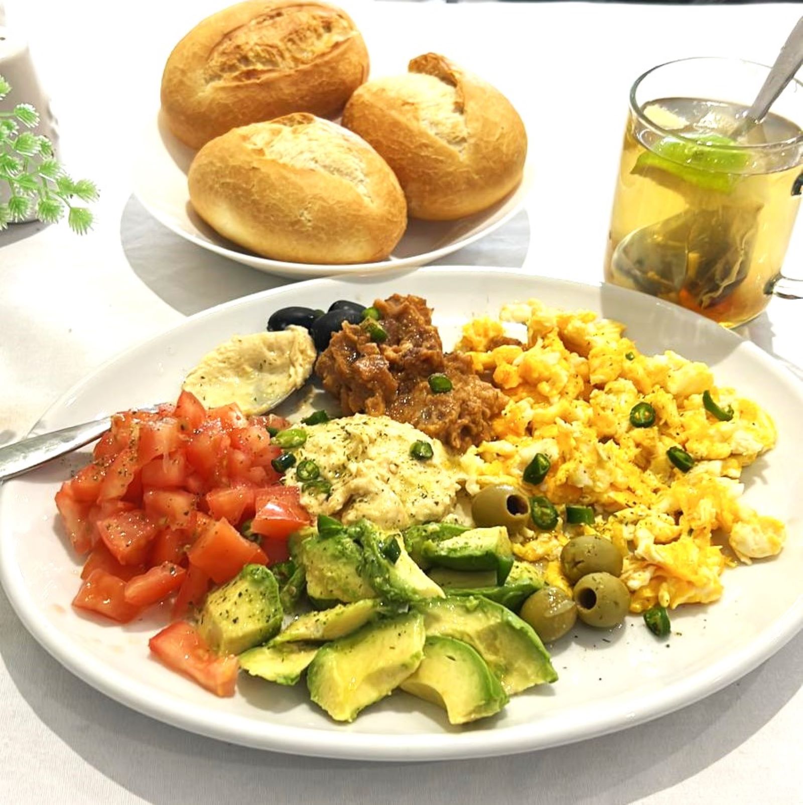 MOHA SPECIAL (ሞሃ ስፔሻል)