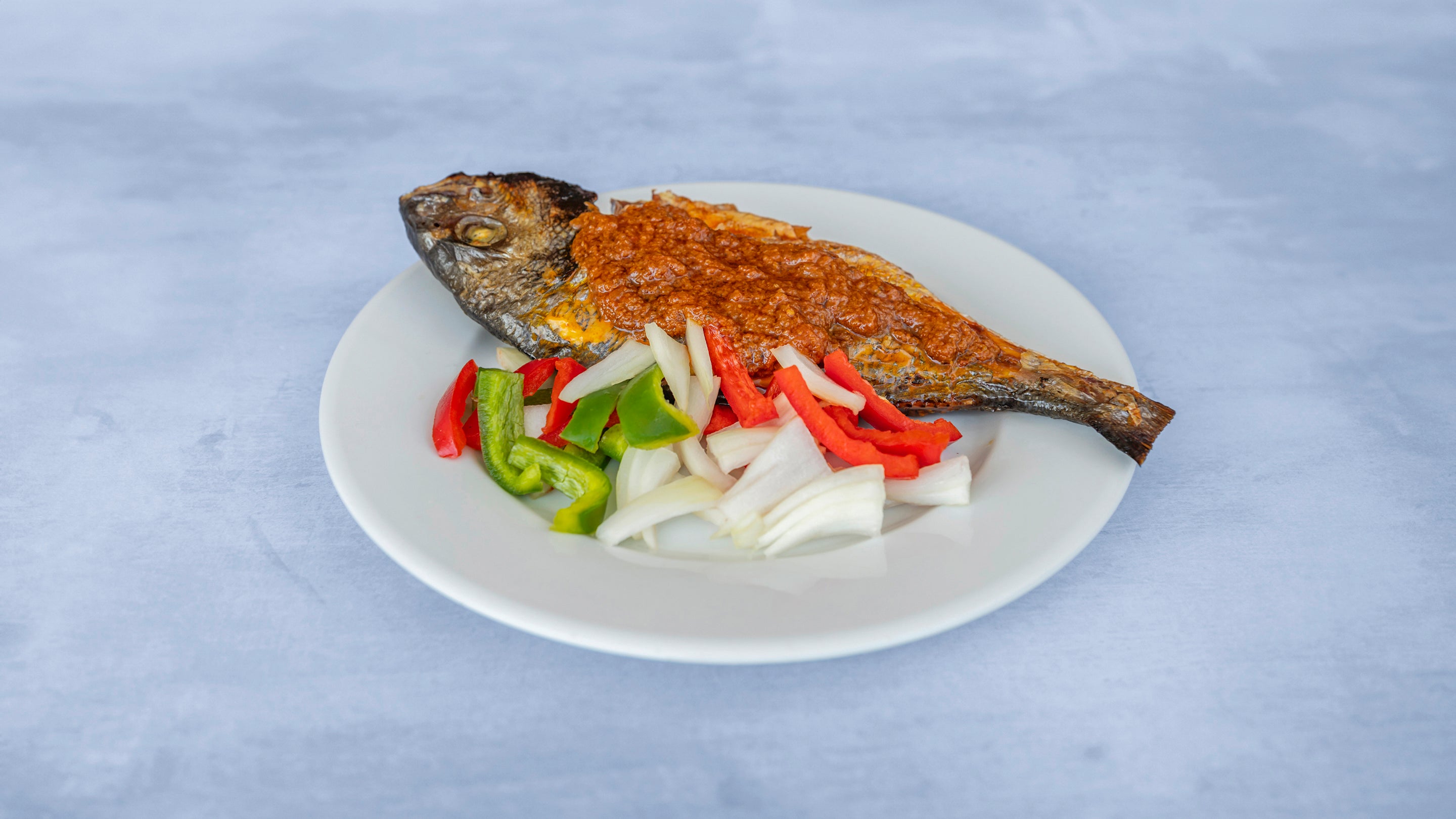 Sea Bream