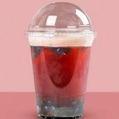 Blue Berry Fruit Tea