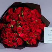 Red Baby Roses