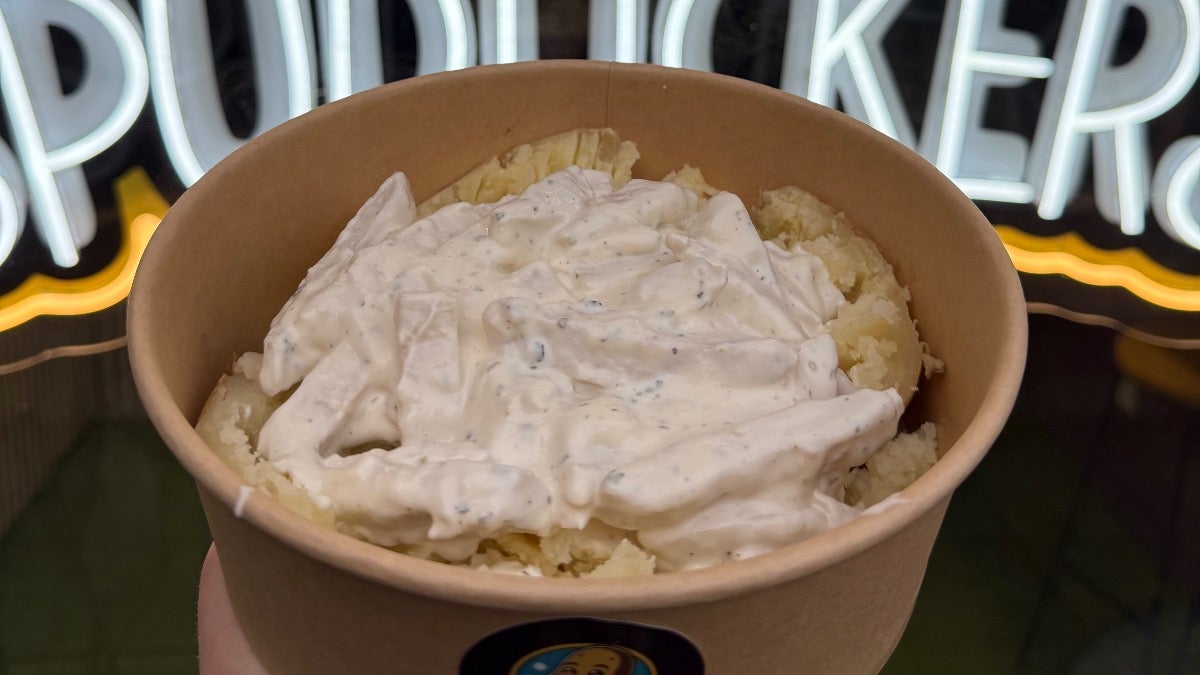 Garlic Mayo Chicken