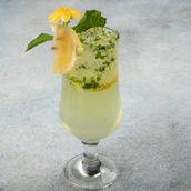 Classic Mojito