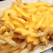 Melted Cheese Fries