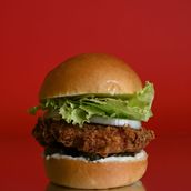 GT Chicken