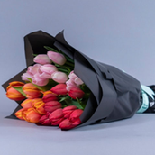 Tulip V