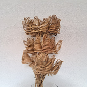 Stem Cone Coil
