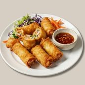 Vegetarian Spring Roll