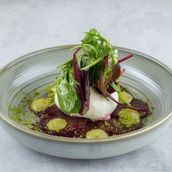 Beetroot & Burrata