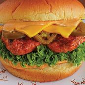 Flaming Hot Burger