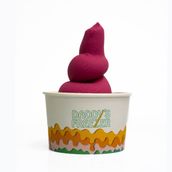 Hibiscus Ice Cream
