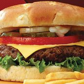 Camel Burger