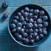 Extra Blueberry
