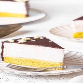 Bird’s Milk Cake