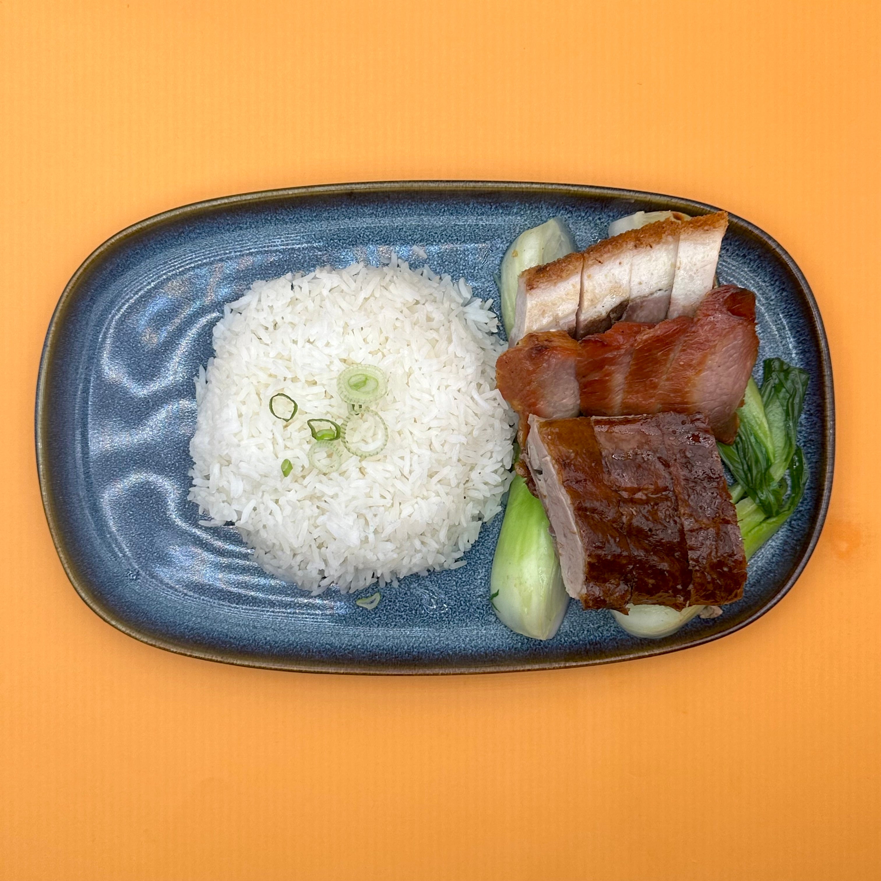 Roast Meat with Rice 烧味饭