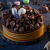 Chocolate Mousse Cake