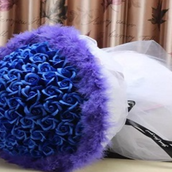 Blue Kashkha