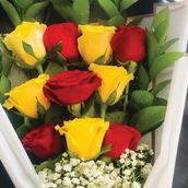 16 Yellow And Red Rose Bouquet - Ss-69