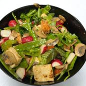 Happy Evergreen Chicken Salad