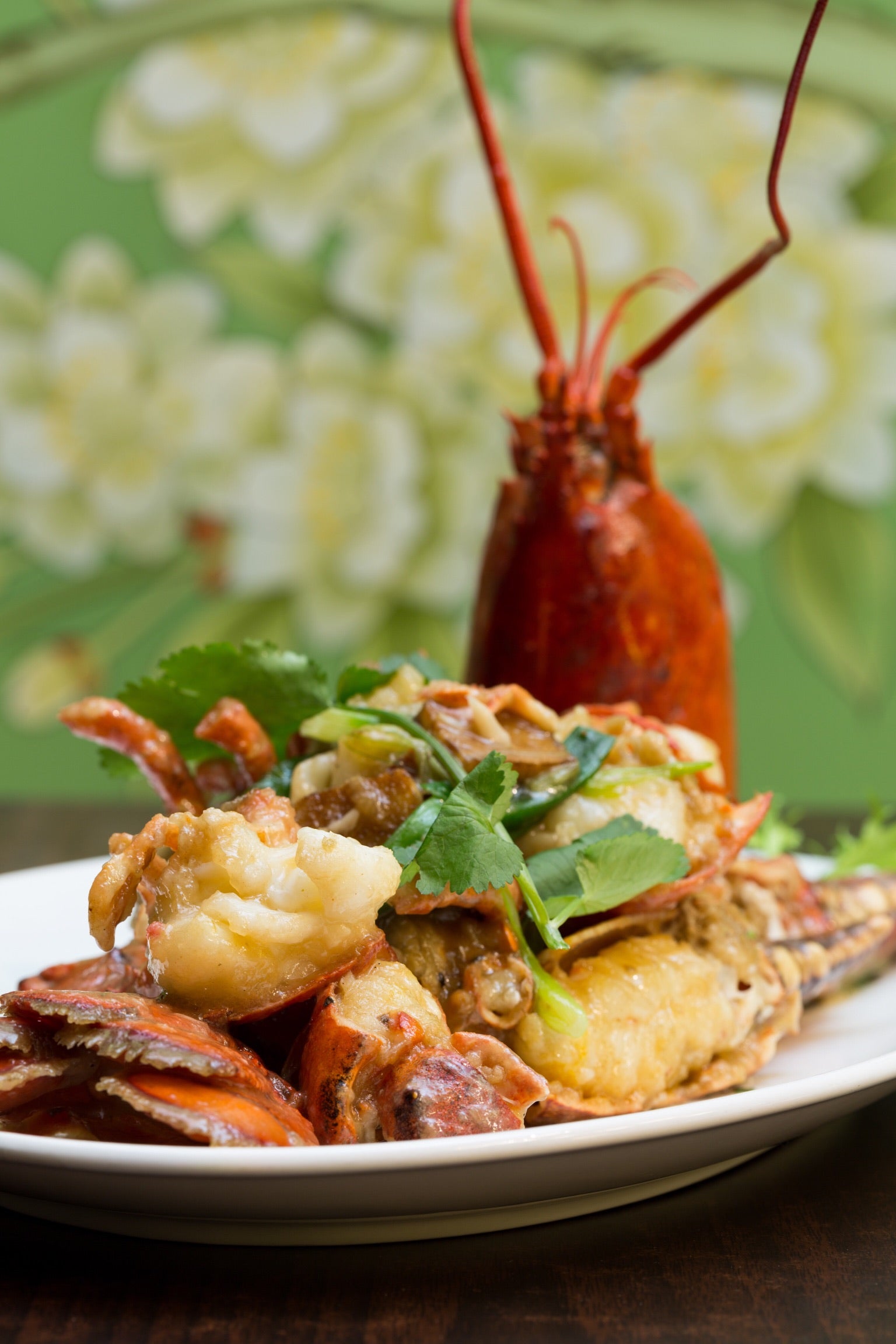 [4201]Scottish Lobster 苏格兰龙虾����������������