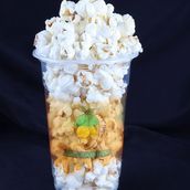 Crunchy Salted Popcorn	