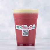Painter diet juice