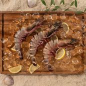 Tiger Prawns