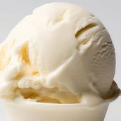 Extra Vanilla Ice Cream 