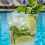 Mojito Lemon Mint
