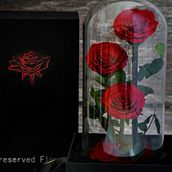 Toujours Bouquet