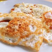 Egg Full Fry