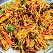 Chinese Chicken Hakka Noodles