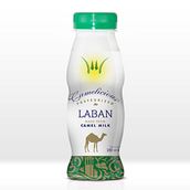 Plain Camel Laban