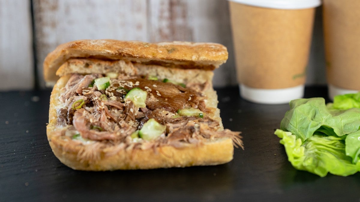 Hoisin Duck