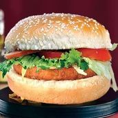 Vegetable Burger