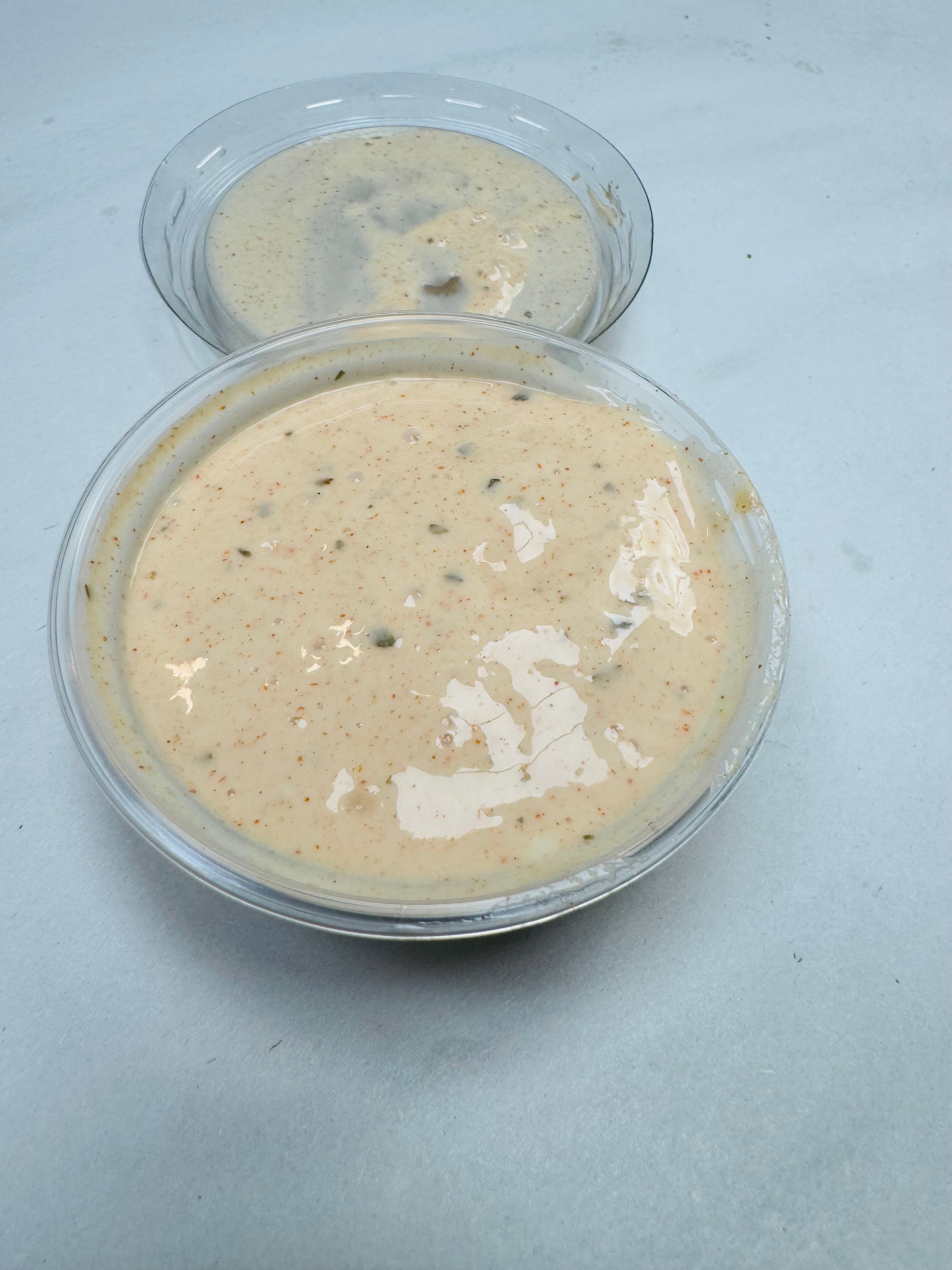 Garlic House Dip��