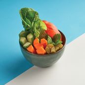 Reyoog Vegetable